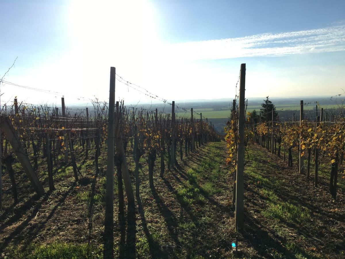 Pri Konjskem Pajdasu Lendava Bagian luar foto