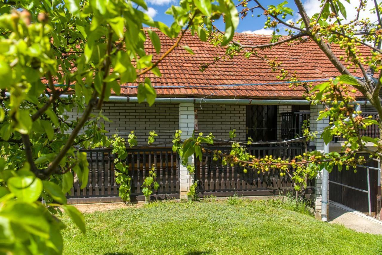 Pri Konjskem Pajdasu Lendava Bagian luar foto